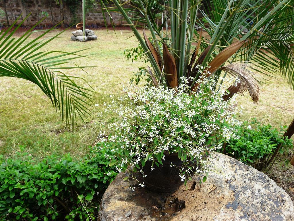 ניירובי Maison Mitwaba מראה חיצוני תמונה